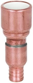 1 in. Copper PEX Expansion x 1 in. PVC Socket Weld Adapter
