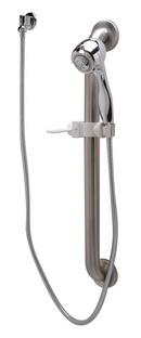 Zurn Chrome Plated Hand Shower 