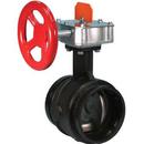 10 in. Ductile Iron Grooved EPDM Seat Hand Wheel Butterfly Valve