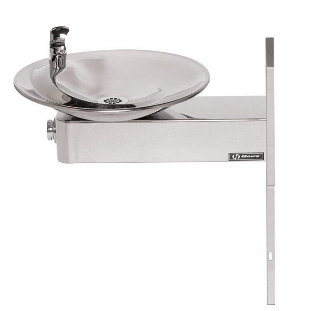 Haws&reg; Polished Stainless Barrier Free Wall Mount Fountain with Access Panel 