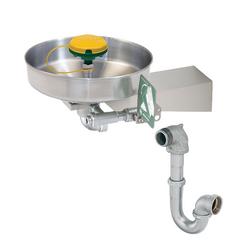 1/2 in. Stainless Steel Wall Mount ADA Eye Wash Fountain