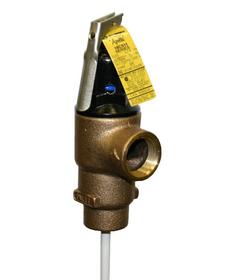 1 in. Bronze FNPT 150# 210 Relief Valve