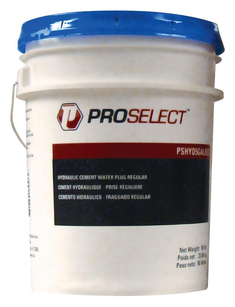 PROSELECT® Blue Regular Set Hydraulic Cement 