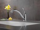 Delta Faucet Chrome Single Handle Kitchen Faucet 