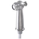 Spray Hose and Diverter Assembly in Brilliance Stainless