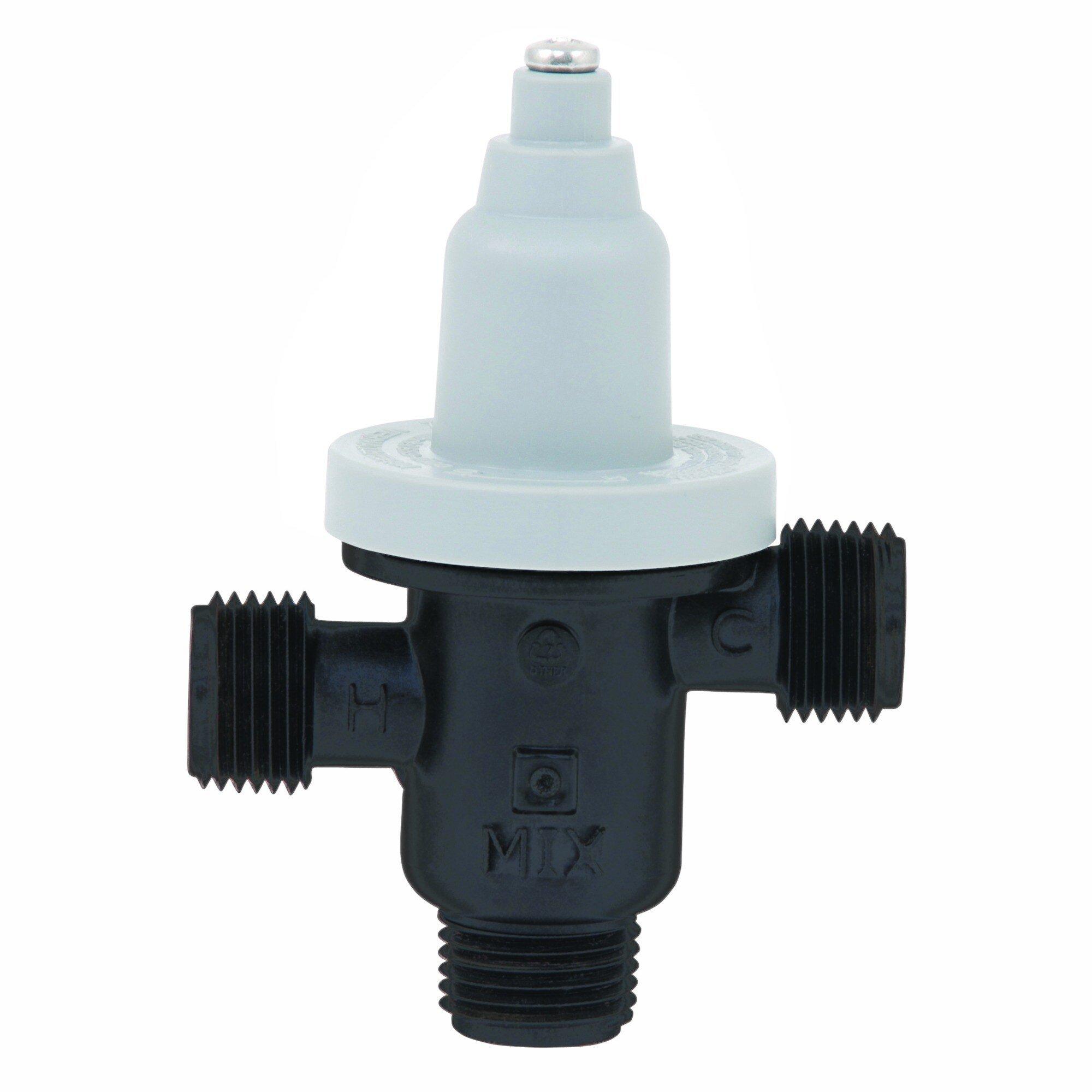 Bradley Corporation MNPT Mixing Valve 