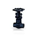 3/4 in. 800# SW F316L T12 Gate Valve Reduced Port Bolted Bonnet Forged Steel