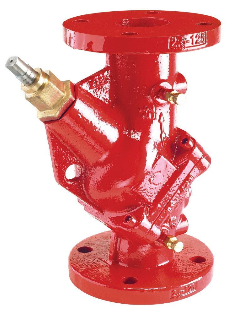 Armstrong Pumps Triple Duty Valve 