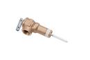 State 5/8 in. Temperature & Pressure Relief Valve Kit 