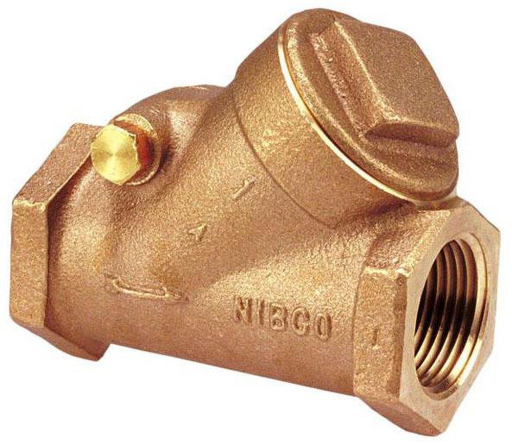 2 in. Bronze NPT Check Valve 