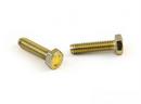 5/16 x 2-1/4 in. Brass Cap Screw