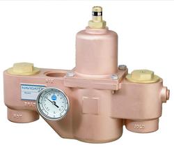 2 in. NPT Thermostat Mixing Valve