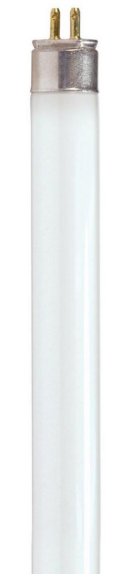 34 in. T5 Fluorescent Light Bulb with a Mini Bi-Pin Base in Neutral White