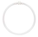 SATCO Cool White T5 Fluorescent Light Bulb with 2Gx13 Base 