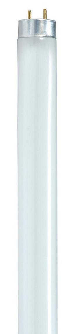 35-7/9 in. T8 Fluorescent Light Bulb with a Medium Bi-Pin Base in Warm White