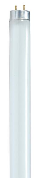 SATCO White T8 Fluorescent Light Bulb with Medium Base 