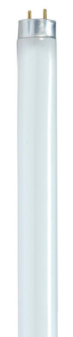 48 in. T8 Fluorescent Light Bulb with a Medium Bi-Pin Base in White (Case of 30)