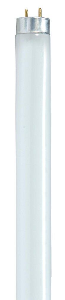 SATCO Warm White T8 Fluorescent Light Bulb with Medium Base 