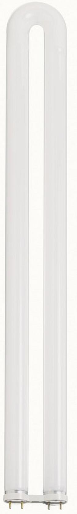 22 in. T8 Fluorescent Light Bulb with a Medium Bi-Pin Base in Warm White