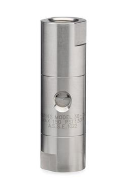 3/8 in. FNPT Dual Check Valve