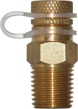 1/4 in. Pressure & Temperature Test Plug