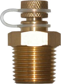 1/2 in. Pressure & Temperature Test Plug