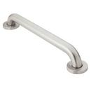 Moen Stainless Steel 30 in. Grab Bar 