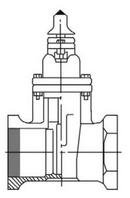 2 in. Threaded Cast Iron Open Left Resilient Wedge Gate Valve