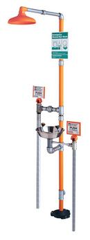 IPS x NPT Safety Station with Eyewash Stainless Steel Bowl with Hand and Foot Control