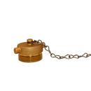 FPPI&reg; 2-1/2 in. Aluminum Plug with Chain 