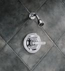 Delta Faucet Brilliance® Stainless Single Handle Single Function Shower Faucet (Trim Only) 