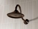 Delta Faucet Venetian Bronze 16 in. Shower Arm 