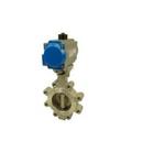 Bray International Carbon Steel Lug Gear Operator Handle Butterfly Valve 