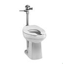 1.28 gpf Elongated Wall Mount Toilet in White