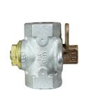 2 in. 175 psi Galvanized Gas Meter Stop Valve with Lockwing