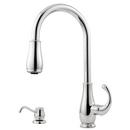Pfister Polished Chrome 2-Hole Pull-Out Spray High Arc Kitchen Faucet with Single Lever Handle 