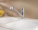 Pfister Polished Chrome Single Handle Pull Out Kitchen Faucet 