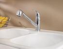 Pfister Polished Chrome Single Handle Pull Out Kitchen Faucet 
