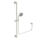 Newport Brass Polished Nickel - Natural Multi Function Hand Shower 