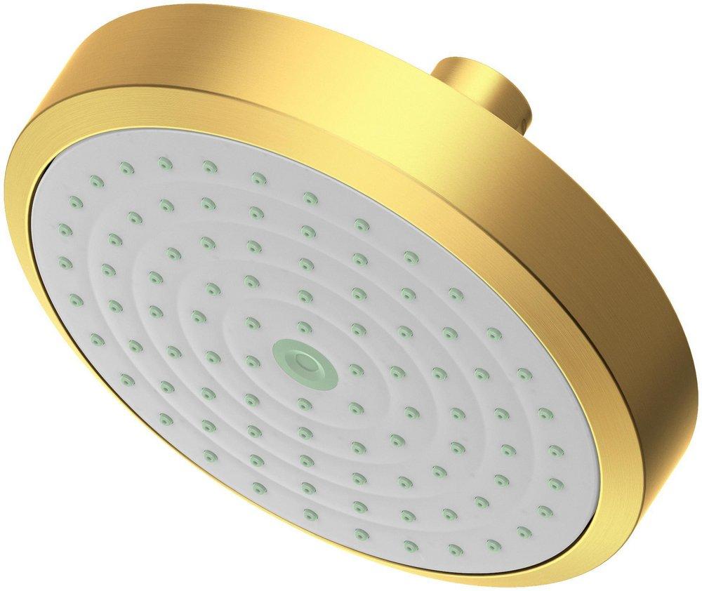 Newport Brass Satin Bronze - PVD Single Function Full Showerhead 
