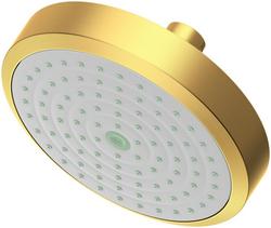 Single Function Showerhead in Satin Bronze - PVD