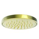 Newport Brass Forever Brass - PVD Single Rain Showerhead 