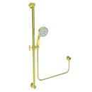 Newport Brass Forever Brass - PVD Multi Function Hand Shower 