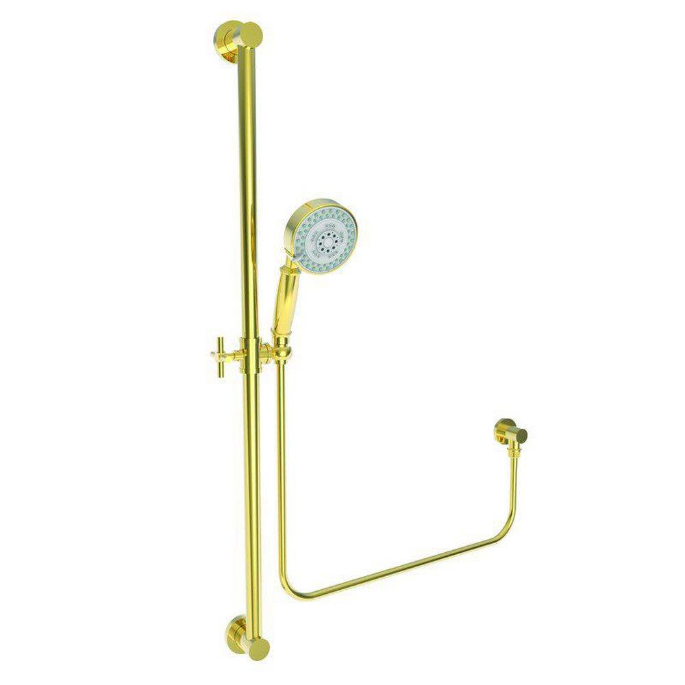 Newport Brass Antique Brass Multi Function Hand Shower 