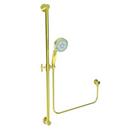 Newport Brass Antique Brass Multi Function Hand Shower 