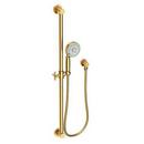 Newport Brass Satin Bronze - PVD Multi Function Hand Shower 