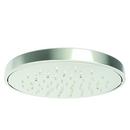 Single Function Showerhead in Polished Nickel - Natural