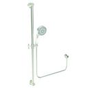 Newport Brass Polished Nickel - Natural Multi Function Hand Shower 