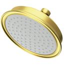 Newport Brass Satin Brass - PVD Single Function Showerhead 