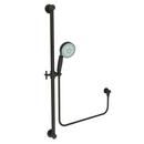 Newport Brass Flat Black Multi Function Hand Shower 